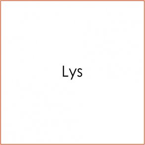 Lys