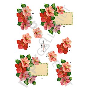 3D Ark Papirgalleriet.dk Blomster 13873