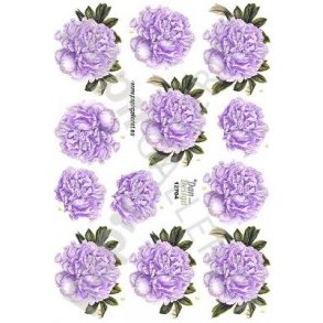 3D Ark Dan-Design  Blomster 12704