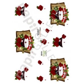 3D Ark Dan-Design  Student Rd 13123