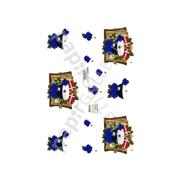 3D Ark Dan-Design Student Bl 13124