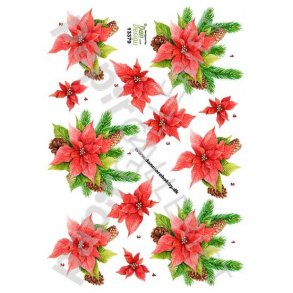 3D Ark Dan-Design Jul 13379