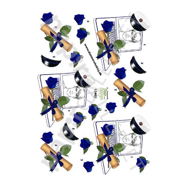 3D Ark Dan-Design Student Bl 13462