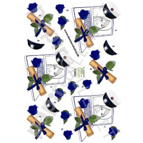 3D Ark Dan-Design Student Bl 13463