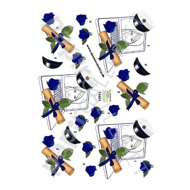 3D Ark Dan-Design Student Bl 13463