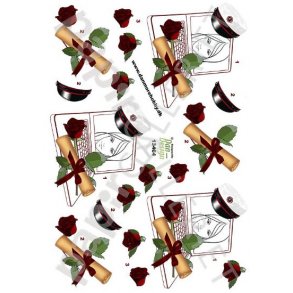 3D Ark Dan-Design Student Rd 13464