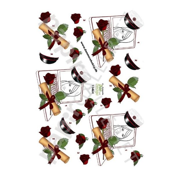 3D Ark Dan-Design Student Rd 13464