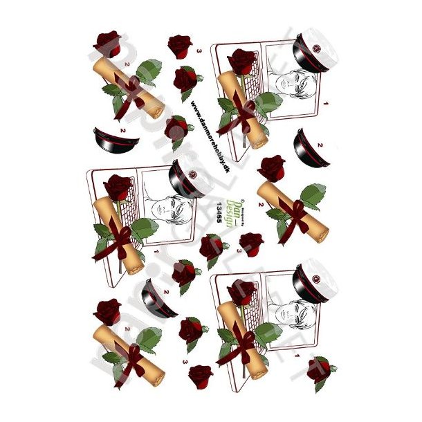 3D Ark Dan-Design Student Rd 13465