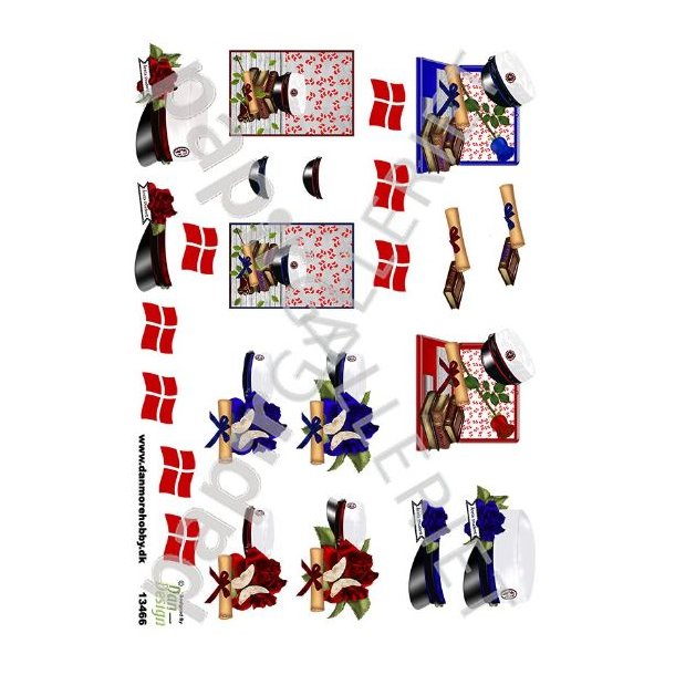 3D Ark Dan-Design Minikort Student 13466