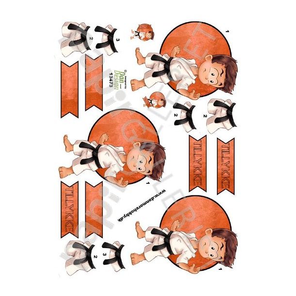 3D Ark Dan-Design Karate 13473