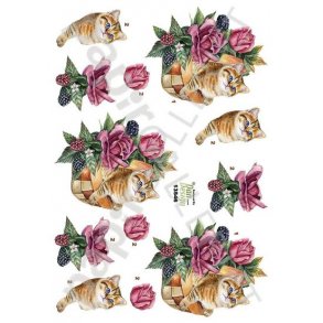 3D Ark Dan-Design BlomsterKat