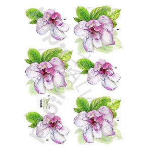 3D Ark Dan-Design Blomster 13769