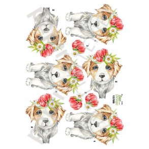 3D Ark Dan-Design Hund - Blomst 13789