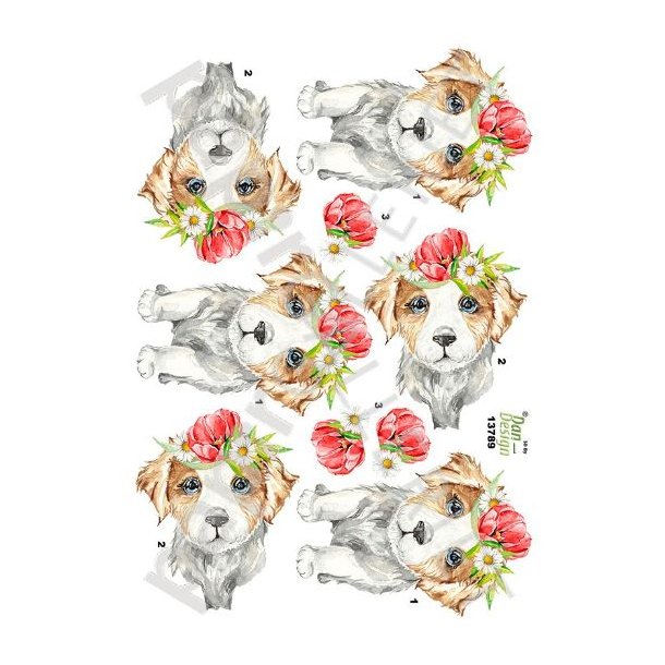 3D Ark Dan-Design Hund - Blomst 13789
