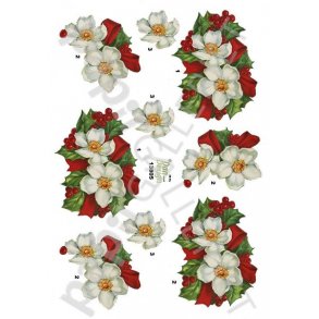 3D Ark - Dan-Design - Jul - 13805