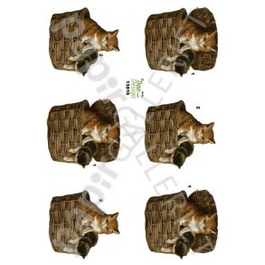 3D Ark Dan-Design Katte 13816