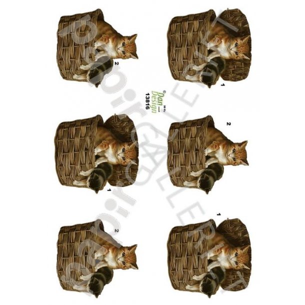 3D Ark Dan-Design Katte 13816