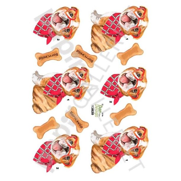 3D Ark Dan-Design 13820