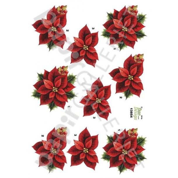 3D Ark Dan-Design - Julestjerne - 13854