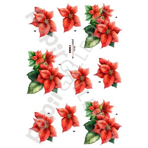 3D By Papirgalleriet.dk - Jul 13888