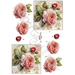 3D By Papirgalleriet.dk - Roser 13905