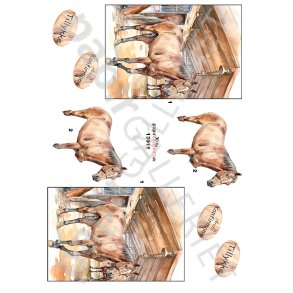 3D Ark By Papirgalleriet.dk - Heste 13911