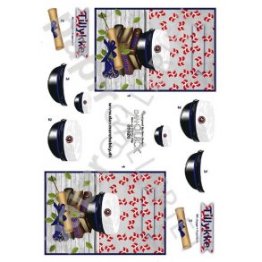 3D Dan-Quick Student Bl 89026