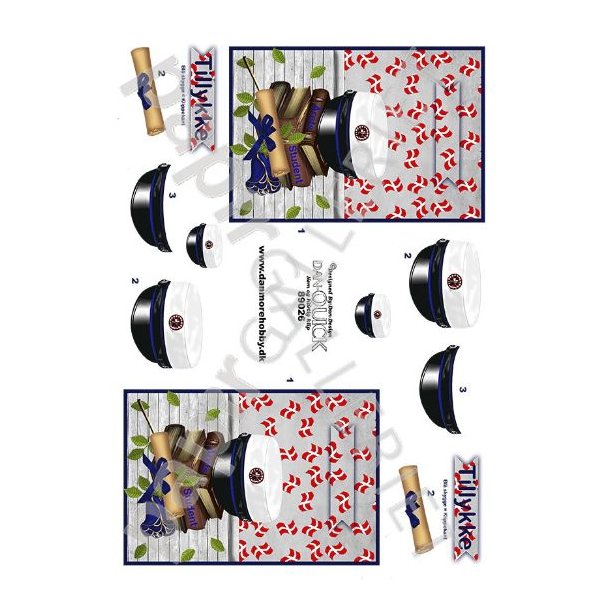 3D Dan-Quick Student Bl 89026