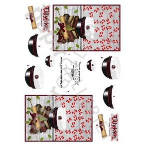 3D Dan-Quick Student Rd 89027