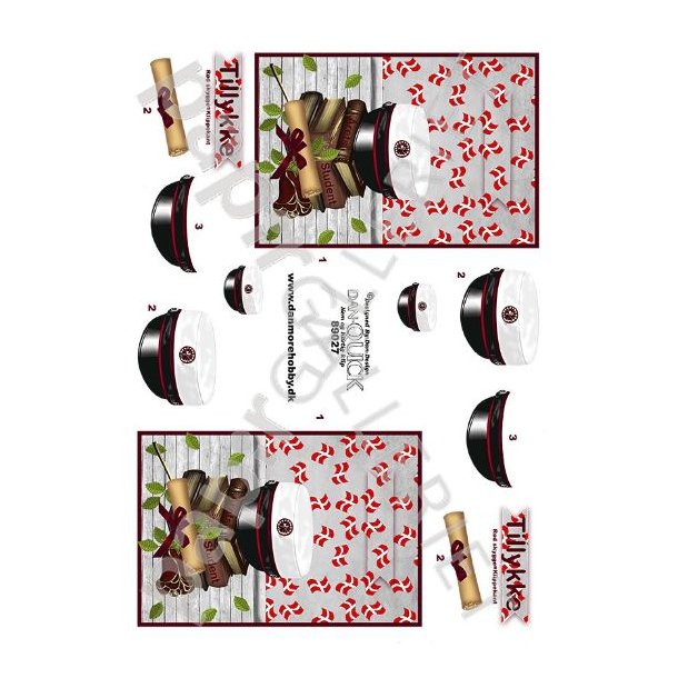 3D Dan-Quick Student Rd 89027