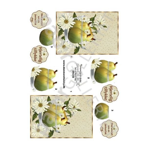 3D Dan-Quick Blomster - Frugt 89040