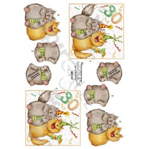  3D Dan-Quick Tal 30 PartyKatte 89107