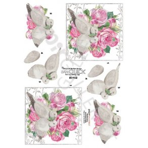 3D Dan-Quick Turtelduer 89162