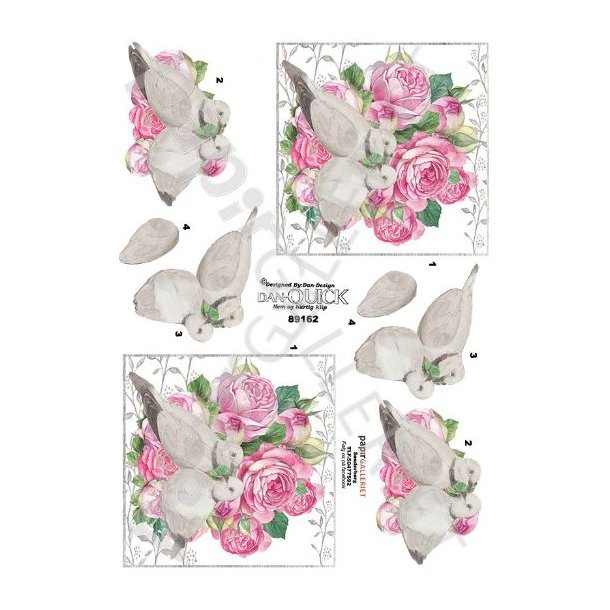 3D Dan-Quick Turtelduer 89162