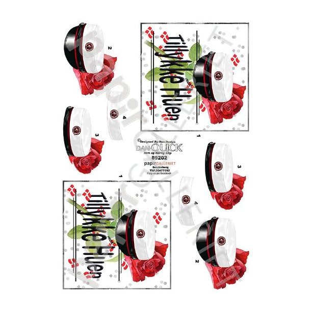 3D Dan-Quick Student Rd 89202