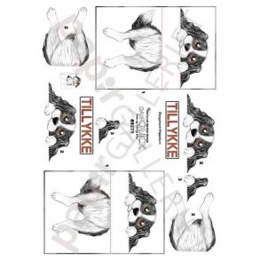 3D Dan-Quick Hund 89279