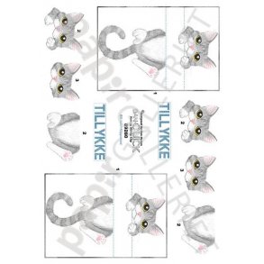 3D Dan-Quick Kat 89280