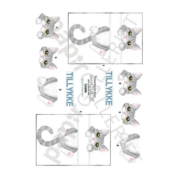 3D Dan-Quick Kat 89280