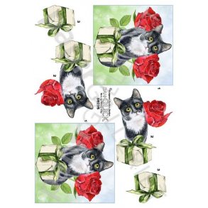 3D Dan-Quick Kat - Gave 89295