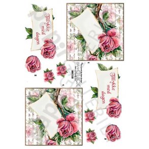 3D Dan-Quick Rose - Kort - Vintage 89300