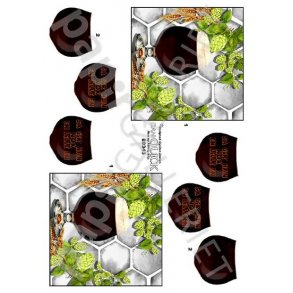 3D Dan-Quick l 89343