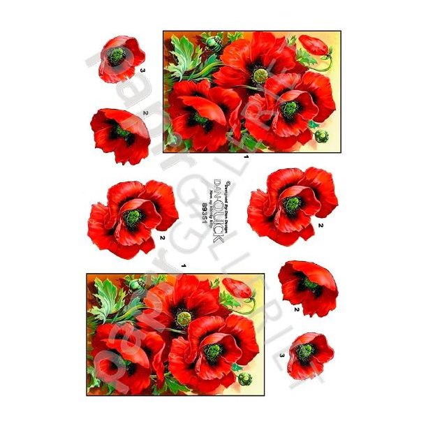 3D Dan-Quick Blomster 89351