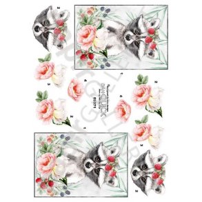 3D Dan-Quick Vaskebjrn - Blomster