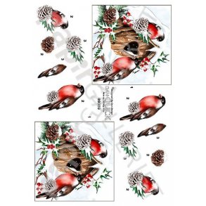 3D - Dan-Quick - Jul - 89380