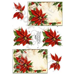  3D Dan-Quick - Jul 89381