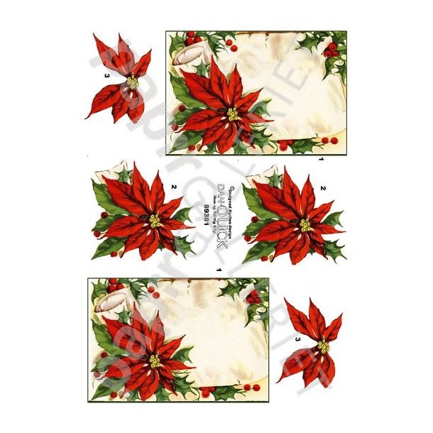  3D Dan-Quick - Jul 89381