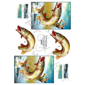 3D Dan-Quick Fisker 89404