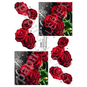 3D Ark Dan-Quick - Rde Roser - 89419