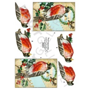 3D Ark Dan-Quick - Jul - 89424