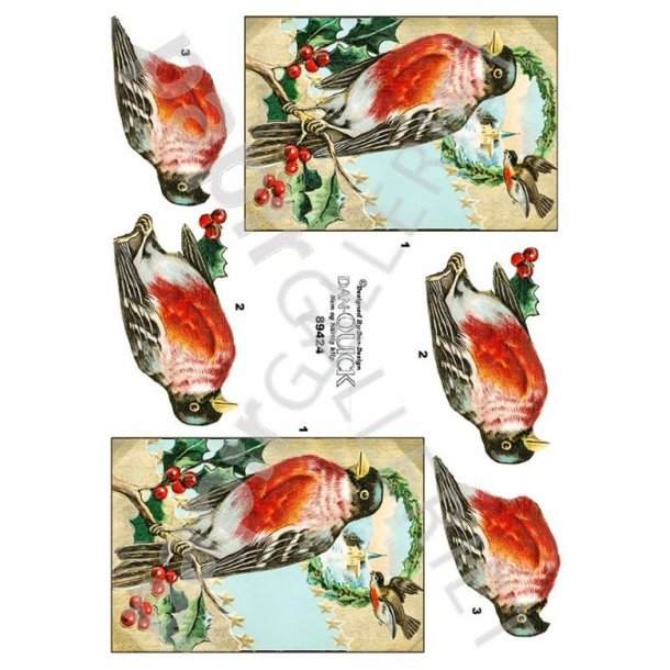 3D Ark Dan-Quick - Jul - 89424